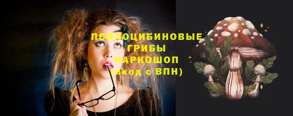 эйфоретик Касимов
