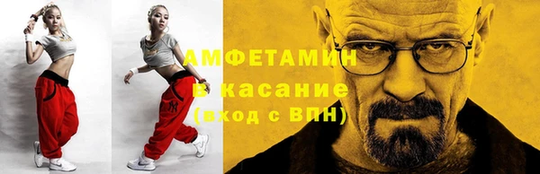 сатива Карпинск