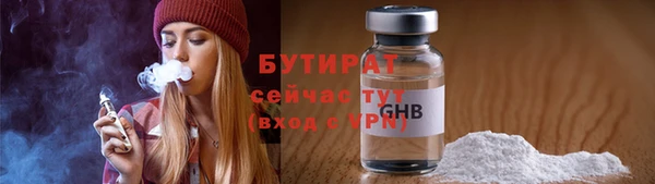 сатива Карпинск