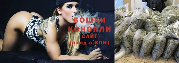 сатива Карпинск