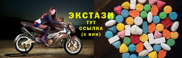 сатива Карпинск