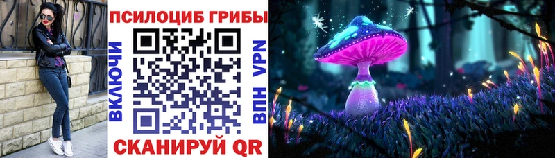 Купить закладки  Баксан  Псилоцибиновые грибы мухоморы 